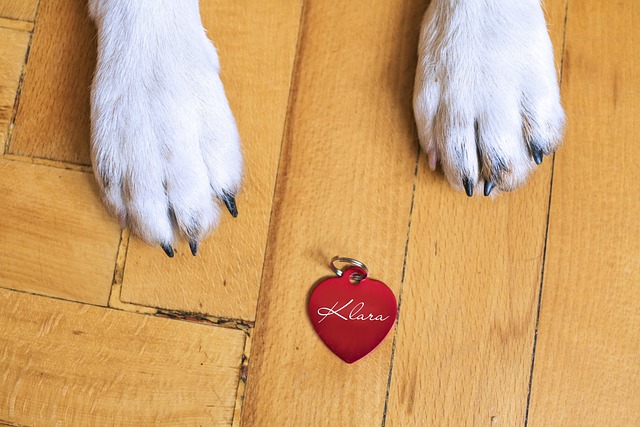 犬の手とネームプレート