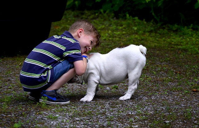 仲良しの子どもと犬