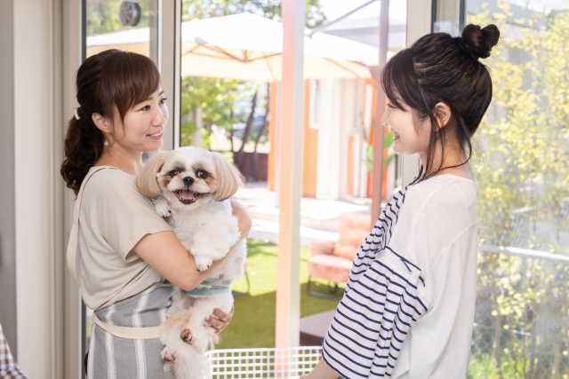 トリミングを依頼する飼い主