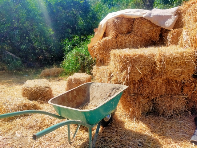 山積みにされた馬の飼料