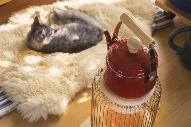 ストーブで温まる子猫